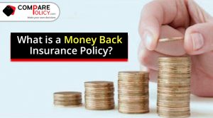 What is money back insurance policy