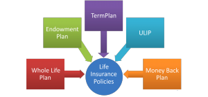 Types of Life Insurance Policies