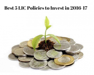 Best 5 LIC Policies to Invest in 2016-17